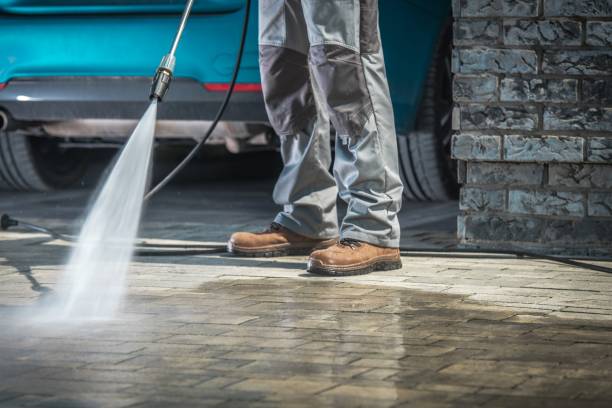 Best Roof Washing  in Bangor, PA